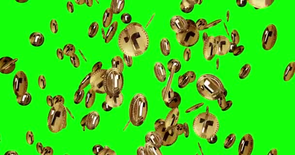 真实的美元稳定的美元加密货币孤立的金币雨的背景 旋转的黄金金属硬币掉落圈抽象概念 绿色屏幕上可浏览 无缝的动画 — 图库视频影像