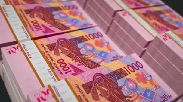 Dinheiro Cfa Oeste Africano Franc Niger Mali Senegal África Pacote — Vídeo de Stock