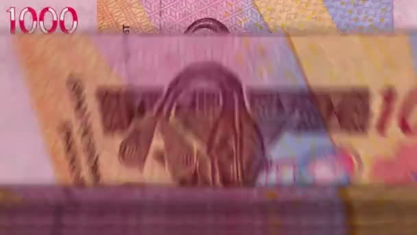 Westafrikanisches Cfa Geld Franc Niger Mali Senegal Afrika Geldzählmaschine Mit — Stockvideo