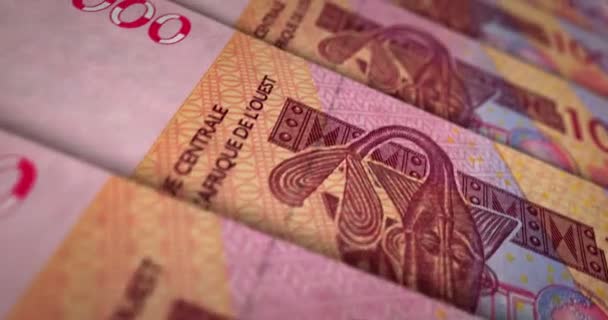 Pieniądze Cfa Afryki Zachodniej Franc Niger Mali Senegal Pętla Banknotów — Wideo stockowe