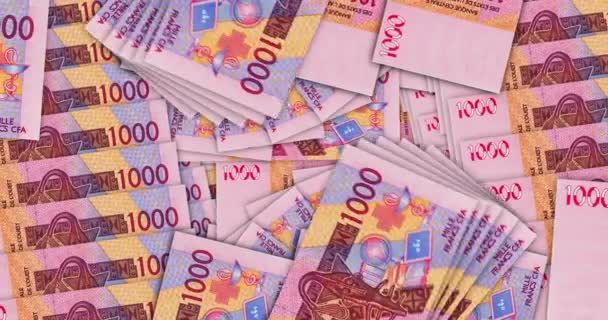 Západoafrické Cfa Peníze Franc Niger Mali Senegal Afrika Bankovky Peněžním — Stock video