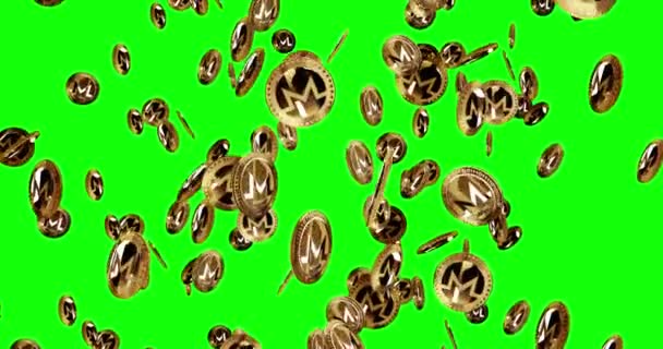 莫内罗Xmr加密货币隔离金币的背景雨 旋转的黄金金属硬币掉落圈抽象概念 绿色屏幕上可浏览 无缝的动画 — 图库视频影像