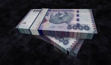 Tanzanya parası Tanzanya şilini para paketi 3D resim. 5000 TZS 'lik banknot destesi. Maliye, nakit, ekonomi krizi, iş başarısı, durgunluk, banka, vergi ve borç kavramı.