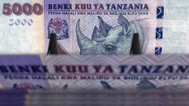 Tanzanya parası Tanzanya şilini para paketi 3D resim. 5000 TZS 'lik banknot destesi. Maliye, nakit, ekonomi krizi, iş başarısı, durgunluk, banka, vergi ve borç kavramı.