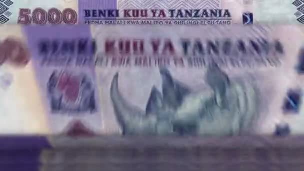 坦桑尼亚的钱是用钞票在取款机上计费的 快速5000 Tzs纸币向下旋转 商业和经济 概念上的漏洞和无缝背景 — 图库视频影像