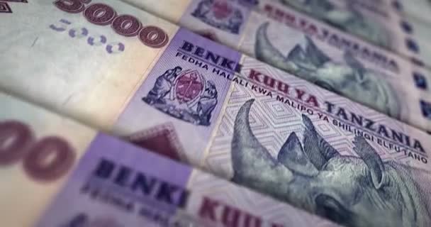 坦桑尼亚货币坦桑尼亚先令钞票循环 Tzs货币纹理 债务和金融的概念 转移到字条上可浏览无缝3D — 图库视频影像