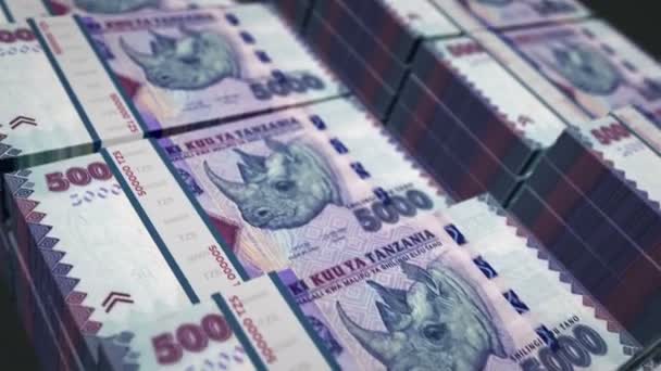 坦桑尼亚货币坦桑尼亚先令钱袋循环3D动画 商业和银行的概念是可以接受的 在5000个Tzs钞票堆栈上移动的相机 — 图库视频影像