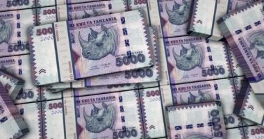 Tanzanya parası Tanzanya şilini 3D animasyon banknotları. Kamera görüntüsü şehirlerarası. TZS para paketleri. Enflasyon, ekonomi, kriz, iş, bankacılık, borç ve finans kavramı.