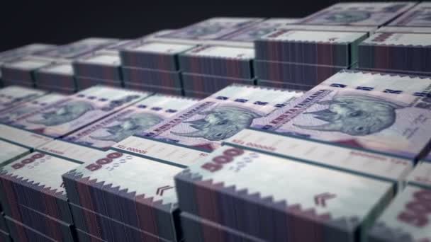 坦桑尼亚货币坦桑尼亚先令钞票捆扎成长循环 Tzs的钱堆栈 经济和金融概念 可浏览无缝3D动画 — 图库视频影像