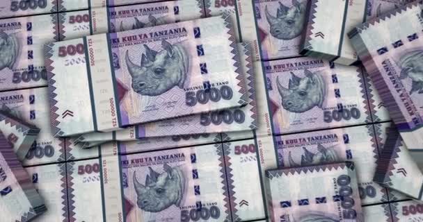 Tanzania Money Tanzanian Shilling Banknotes Animation Camera View Close Long — Stock Video