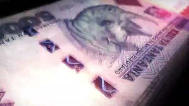 Танзания Деньги Танзании Деньги Подсчет Шиллинга Банкноты Тзс Макроцикл Быстрым — стоковое видео