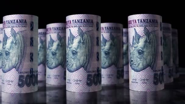 坦桑尼亚货币坦桑尼亚先令资金滚动循环3D 摄像头在Tzs滚动式钞票前移动无缝隙的经济 商业和债务概念 — 图库视频影像