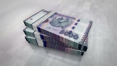 Tanzanya parası Tanzanya şilin para yığını. Ekonomi, bankacılık, iş, kriz, durgunluk, borç ve finans konularının kavramı. 5000 TZS banknot destesi 3D animasyon.