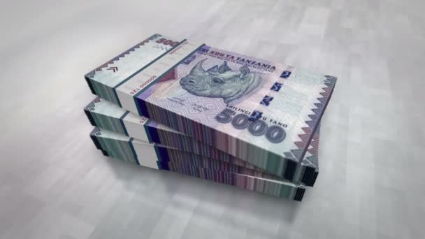 坦桑尼亚货币坦桑尼亚先令现金堆栈包 债务和金融的概念背景 5000张Tzs钞票堆栈3D动画 — 图库视频影像