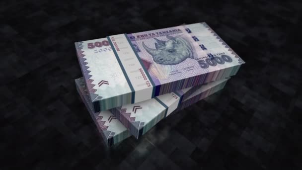 坦桑尼亚货币坦桑尼亚先令现金堆栈包 债务和金融的概念背景 5000张Tzs钞票堆栈3D动画 — 图库视频影像