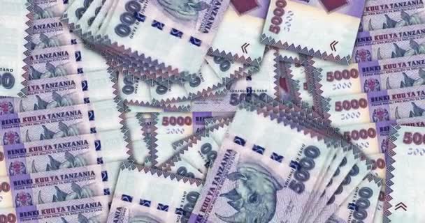 Танзания Шиллинг Банкноты Денежном Вентилятора Мозаики Шаблон Петли Танзанийские Банкноты — стоковое видео