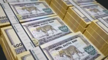 Nepal parası Nepali rupileri 3 boyutlu animasyon döngüsü. Döngüsüz finans, nakit, ekonomi, iş ve banka kavramı. Kamera 500 'den fazla NPR banknot destesini taşıyor.