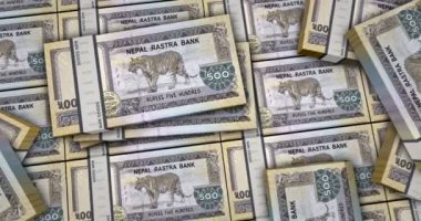 Nepal parası Nepali rupisi 3 boyutlu animasyonu destekler. 500 NPR paketleri enflasyon, ekonomi, kriz, iş, bankacılık, borç ve finans kavramı.