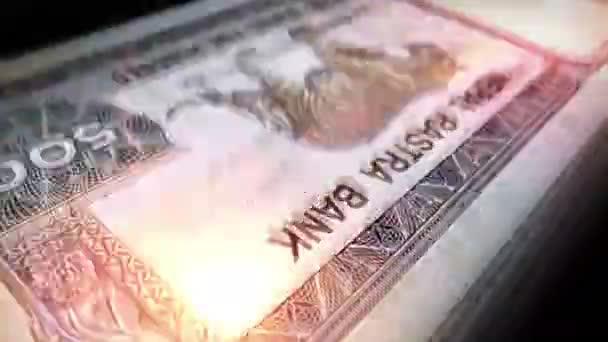 Νεπάλ Μετράνε Ρουπίες Χαρτονομίσματα 500 Npr Γρήγορη Σημείωση Μετρητών Μετράνε — Αρχείο Βίντεο