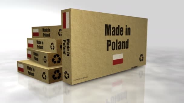 Fabricado Polonia Línea Producción Cajas Fabricación Entrega Fábrica Productos Importación — Vídeos de Stock