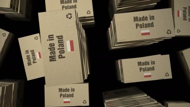 Fabricado Polonia Línea Producción Cajas Fabricación Importación Exportación Entrega Concepto — Vídeos de Stock