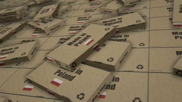 Tillverkad Polen Box Produktionslinje Produkt Import Export Tillverkning Och Leverans — Stockvideo