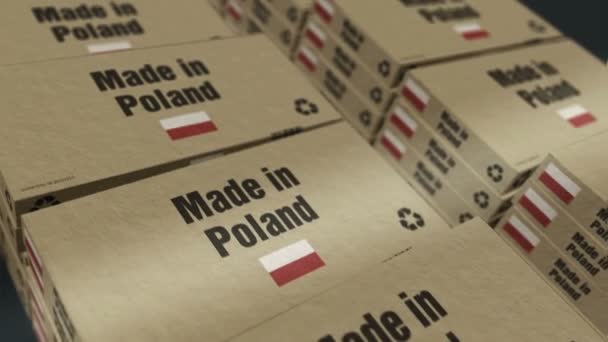 Gemaakt Polen Box Productielijn Productie Levering Uitvoer Van Producten Abstract — Stockvideo