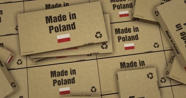 Зроблено Польщі Виробнича Лінія Коробки Виробництво Доставка Імпорт Експорт Продукції — стокове відео