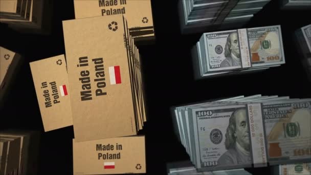 Tillverkad Polen Box Linje Med Dollar Pengar Bunt Stackar Export — Stockvideo