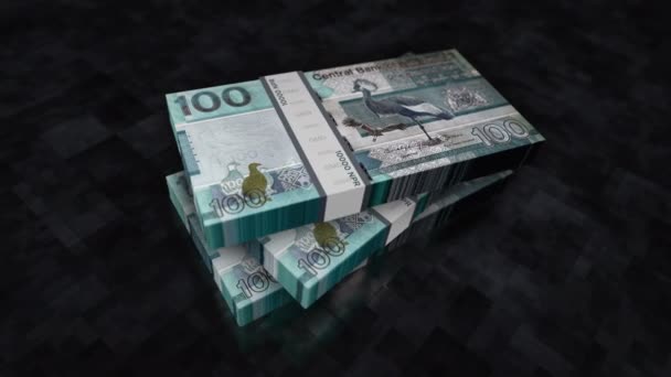 Dinheiro Gâmbia Alcateia Gambiana Concepção Fundo Economia Banca Negócios Crise — Vídeo de Stock