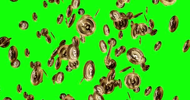 ビットコインEtf Btc仮想通貨は金貨の雨の背景を隔離しました ループ抽象的な概念に落ちる金属コインを回転させます グリーン画面でループ可能でシームレスなアニメーション — ストック動画