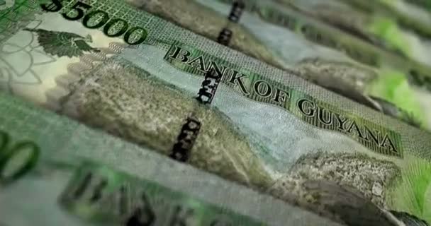 Guyana Parası Guyanese Dolar Banknot Döngüsü 5000 Gyd Para Dokusu — Stok video