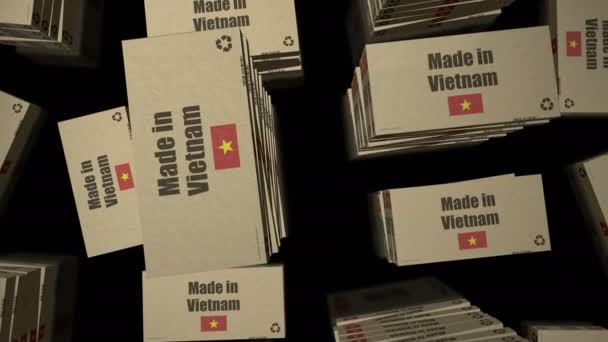Feito Linha Produção Caixa Vietnã Fabricação Importação Exportação Entrega Abstrato — Vídeo de Stock