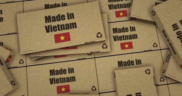 Feito Linha Produção Caixa Vietnã Fabricação Entrega Importação Exportação Produtos — Vídeo de Stock