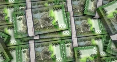 Guyana parası Guyanese dolarları 3 boyutlu animasyonu destekler. 5000 GYD enflasyon, ekonomi, kriz, iş, bankacılık, borç ve finans paketi.
