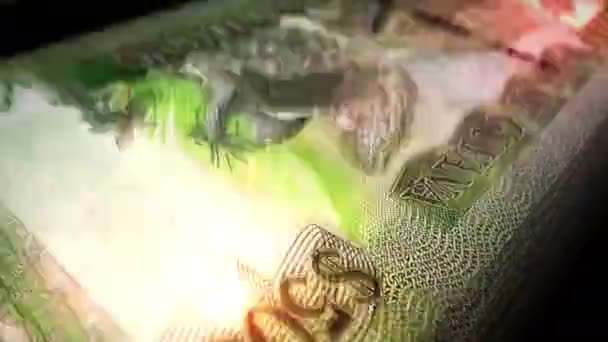 Guyana Geld Guyana Dollars Tellen 5000 Gyd Bankbiljetten Snelle Cash — Stockvideo
