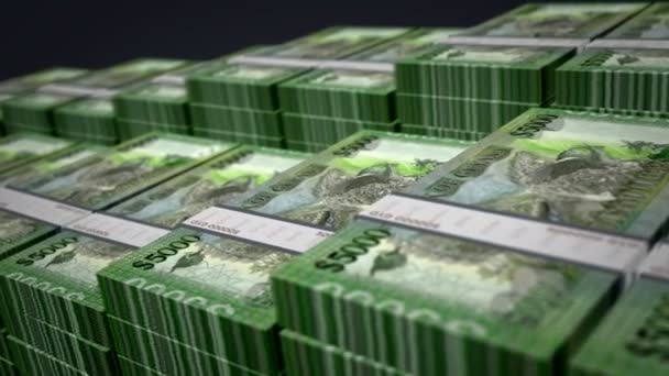 圭亚那货币圭亚那元钞票捆扎成圈增长 5000 Gyd堆栈 经济和金融概念 — 图库视频影像