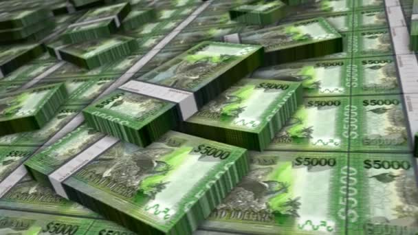 Гайанские Деньги Гайанские Доллары Петля Банкноты Связки 5000 Гидравлических Денег — стоковое видео