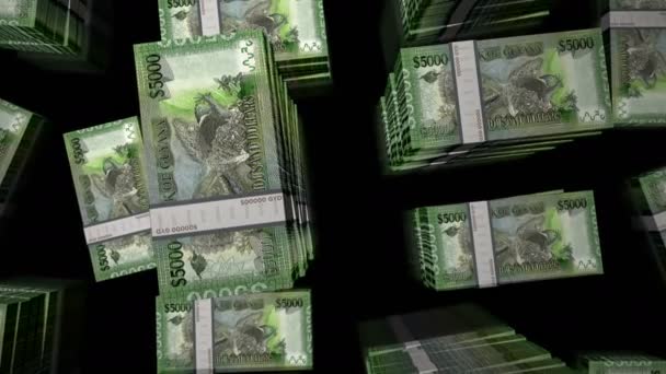 Guyana Geld Guyanese Dollars Money Pack Loop Vlucht Gyd Bankbiljetten — Stockvideo