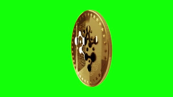 Ypredict Ypred Cryptogeld Geïsoleerde Gouden Munt Groene Scherm Loopable Achtergrond — Stockvideo