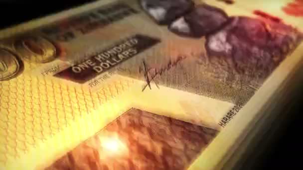 Simbabwe Geld Simbabwische Dollar Zählen Zwl 100 Scheine Schnelle Zählung — Stockvideo