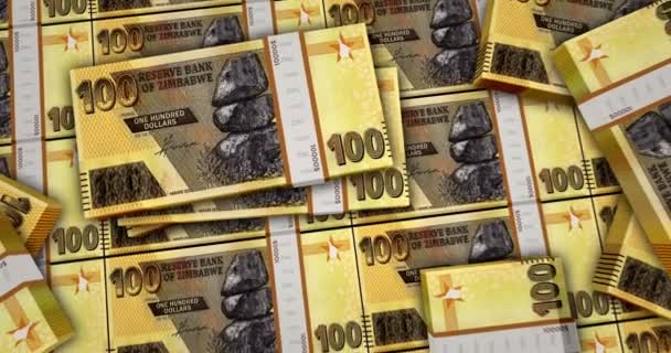 Zimbabwe Pengar Zimbabwes Dollar Sedlar Animation Zwl 100 Packar Begreppet — Stockvideo