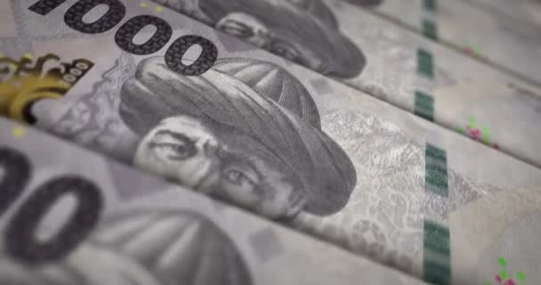 Quirguizistão Dinheiro Quirguizistão Somas Loop Notas Kgs 1000 Textura Dinheiro — Vídeo de Stock