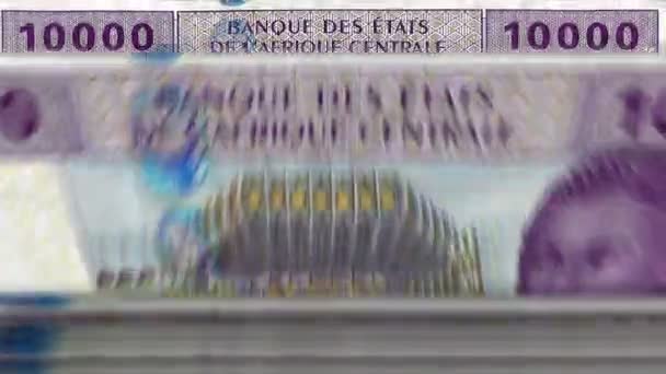 Central African Cfa Dinheiro Franco Camarões Chade Congo Gabão Máquina — Vídeo de Stock