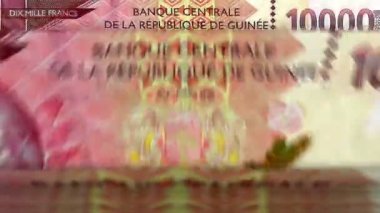 Gine parası, banknotlu Gine frangı sayma makinesi. Hızlı GNF 10000 banknot aşağı rotasyon. İş ve ekonomi kavramı döngüsel ve sorunsuz bir altyapıya sahip.