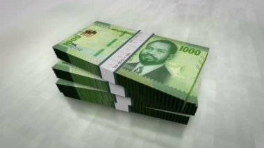 Mozambik parası Mozambik Metical yığını. Ekonomi, bankacılık, iş, kriz, durgunluk, borç ve finans konularının kavramı. 1000 MZN banknot destesi 3D.