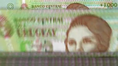 Uruguay parası Uruguay para sayma makinesi ve banknotlar. Hızlı 1000 UYU 'luk banknot düşür. İş ve ekonomi kavramı döngüsel ve sorunsuz bir altyapıya sahip.