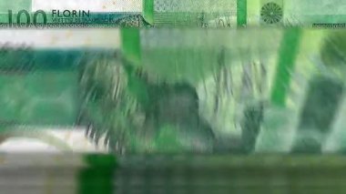 Aruba parası Aruban Florin para sayma makinesi ve banknotlar. Hızlı bir 100 AWG para birimi notası düşür. İş ve ekonomi kavramı döngüsel ve sorunsuz bir altyapıya sahip.