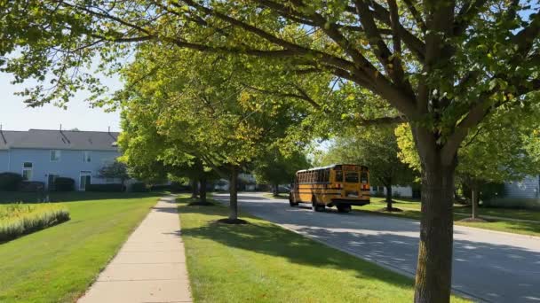Naperville Abd Eylül Sarı Okul Otobüsü Caddeden Geçiyor Evet Yüksek — Stok video