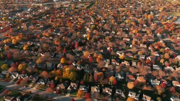 Drone Zicht Amerikaanse Buitenwijk Herfst Maken Buurtfoto Hoge Kwaliteit Beeldmateriaal — Stockvideo